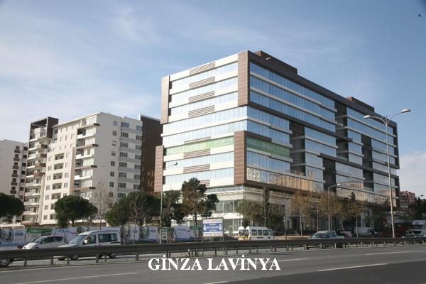 Giza Lavinya İş Merkezi